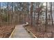 Picturesque boardwalk through a wooded area, leading to the water at 117 Cove Pointe, Mount Holly, NC 28120