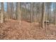 Natural wooded area with mature trees and fallen leaves, offering privacy and tranquility at 117 Cove Pointe, Mount Holly, NC 28120