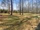 Spacious backyard with mature trees offering a peaceful setting at 13943 Dannemara Dr, Pineville, NC 28134