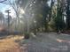 Spacious backyard with mature trees and open space at 1401 Chelveston Dr, Charlotte, NC 28208