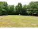 Lush green backyard with privacy trees and additional storage at 3035 Agean Ln, York, SC 29745