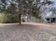 Partially wooded front yard with a large tree at 6862 Royal Heights Cir, Hickory, NC 28602