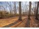 Wooded backyard with large trees and cleared area at 7504 Surry Ln, Indian Trail, NC 28079