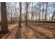 Wooded backyard with large trees and natural light at 7504 Surry Ln, Indian Trail, NC 28079