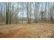 Wooded backyard with a clearing and firepit area at 161 Moore Haven Dr, Salisbury, NC 28147