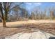 Large backyard with a mostly bare tree and patchy grass at 3821 Bullard St, Charlotte, NC 28208