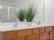 Bathroom featuring a double vanity, contemporary faucet, and a plant at 1115 Ross Brook Trce, York, SC 29745