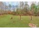 Spacious backyard with several young trees and a grassy area at 606 Elmhurst Dr, Fort Mill, SC 29715