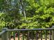 Scenic backyard view from the deck with lush greenery and mature trees at 16721 Spinnaker Ln, Cornelius, NC 28031