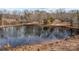 Tranquil pond surrounded by winter trees at 11745 Stokes Ferry Rd, Gold Hill, NC 28071