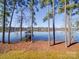 Serene waterfront view with tall pines and calm water at 168 Tanglewood Cv, Belmont, NC 28012