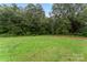 Wooded lot with grassy area, ready for new construction at 209 S Gregory St, Lancaster, SC 29720