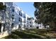 Exterior angle of the building showcasing the lawn, mature trees and unit windows at 2501 Roswell Ave # 303, Charlotte, NC 28209