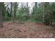 View of wooded backyard at 2905 Maryland Ave, Kannapolis, NC 28083