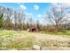 Spacious yard featuring a storage shed at 354 Baptist Church Rd, Gold Hill, NC 28071