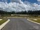 Entrance to the community featuring well-maintained landscaping and a secure perimeter fence at 624 Cassidy Ct, Clover, SC 29710