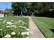 Pathway with blooming daisies leading to a pool area at 1300 Reece Rd # G-18, Charlotte, NC 28209