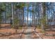 Stone path winding through treed backyard, revealing serene lake views and natural beauty at 220 Ambleside Village Ln, Davidson, NC 28036