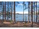 Lake view framed by trees, offering a peaceful escape into nature's tranquility and scenic beauty at 220 Ambleside Village Ln, Davidson, NC 28036