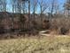 Wooded area with a winding road leading to houses in the distance at 17613 Shasta Daisy Cir, Davidson, NC 28036