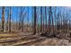 Open wooded area with a picnic table at 3581 Thompson St, Newton, NC 28658