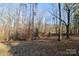 View of a wooded lot with leaf-covered ground at 5122 Wrenn Dr, Denver, NC 28037