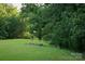 Spacious backyard featuring grazing deer and lush greenery, perfect for nature lovers at 4816 Zion Church Rd, Concord, NC 28025