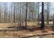 Peaceful wooded area surrounding the property at 665 Edwards Rd, Fort Lawn, SC 29714