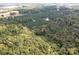 Overhead view of dense forest, featuring a thriving pine forest and a serene pond at 11001 Mount Holly Hntrsvlle Rd, Huntersville, NC 28078