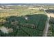 Wide shot aerial view of land with mature trees, a dense pine forest and a private pond at 11001 Mount Holly Hntrsvlle Rd, Huntersville, NC 28078