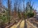 Wooded backyard view with natural landscaping at 16400 Cozy Cove Rd, Charlotte, NC 28278