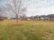 Backyard view of the community with a grass yard between the property at 3867 Azalea Trl, Denver, NC 28037