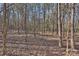 A serene wooded area with many trees, offering privacy and natural beauty at 4004 Blossom Hill Dr, Matthews, NC 28104