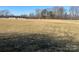 Wide view of a large backyard with a sprawling grassy field under a bright, sunny sky at 897 Mocksville Hwy, Statesville, NC 28625