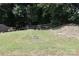 A green backyard features a wooden fence, trees, and grassy slope at 1128 Tangle Ridge Se Dr, Concord, NC 28025