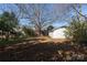 Large backyard with detached garage and mature trees at 1138 Norland Rd, Charlotte, NC 28205