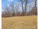 Open backyard with mature trees at 133 Fieldstone Farm Dr, Statesville, NC 28625