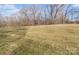 Open backyard with mature trees at 133 Fieldstone Farm Dr, Statesville, NC 28625