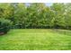 Landscaped backyard with lush green grass at 3205 Helmsley Ct, Concord, NC 28027