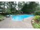 Inviting kidney-shaped pool with surrounding patio at 1548 Summit View Dr, Rock Hill, SC 29732