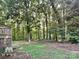 Spacious backyard with lush trees at 3029 Winding Trl, Matthews, NC 28105