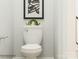 Simple bathroom with white toilet and framed art at 4076 Skyboat Cir, Fort Mill, SC 29715