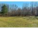 Lawn of the backyard showing the trees at 7219 Yellowhorn Trl, Waxhaw, NC 28173