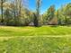 Large backyard with lush green grass and a storage shed at 2139 Mallard Green Pl, Charlotte, NC 28262