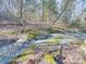 Scenic view of a small, rocky creek flowing through a wooded area, with moss-covered stones at 3609 Shillinglaw Rd, Sharon, SC 29742