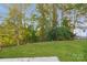 View of backyard with green grass and mature trees at 3948 Shasta Cir, Clover, SC 29710