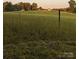 Vast farmland with distant home and livestock at 499 Indian Hill Rd, Olin, NC 28660