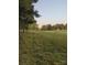 Serene pasture with distant barn and trees at 499 Indian Hill Rd, Olin, NC 28660