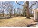 A view of the spacious, tree-lined backyard with dormant grass and a mix of bare trees and evergreens at 821 Greentree Dr, Charlotte, NC 28211