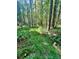 Wooded lot ready to build on with lush vegetation at Lot 19 Knottywood Ln # Lot 19, Vale, NC 28168